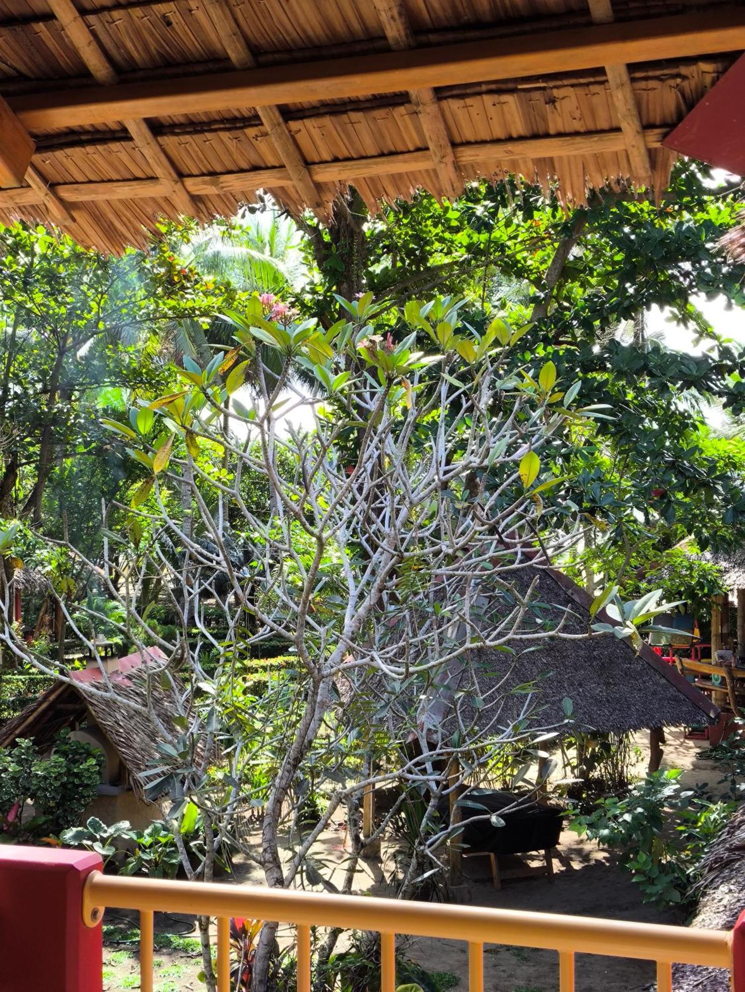 Sulu Sunset Beach Resort Nauhang Bagian luar foto